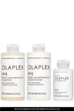 ست مراقبت از مو زنانه – مردانه اولاپلکس  با کد OL111